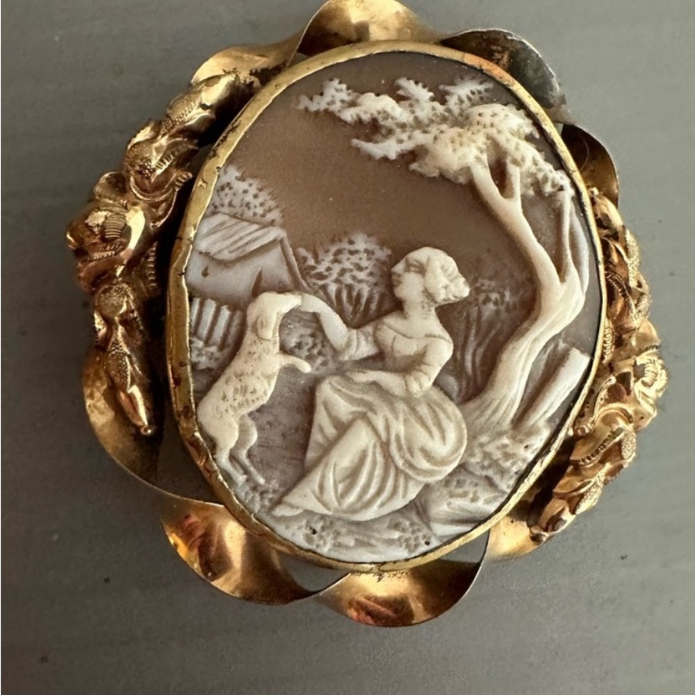 Vintage Cameo Brooch with Gold Accents